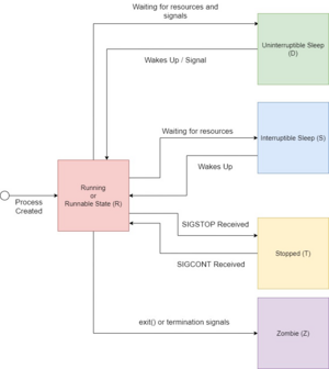 Linux Process States.png